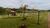 Terreno, 200 m² - Foto 6