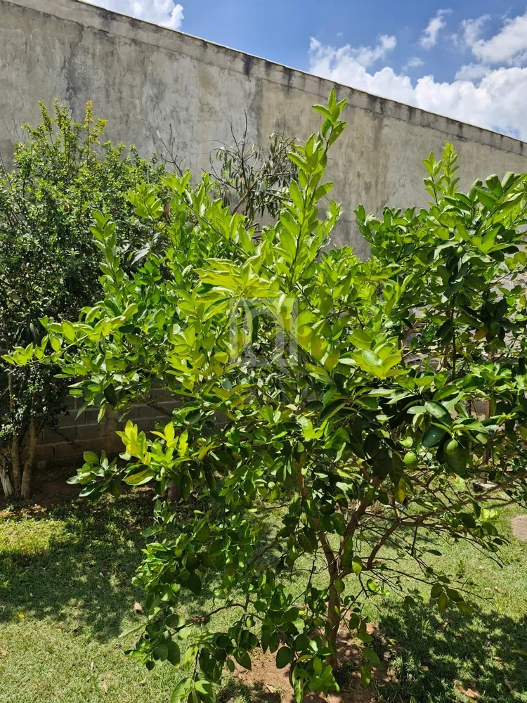 Chácara, 3 quartos, 800 m² - Foto 3