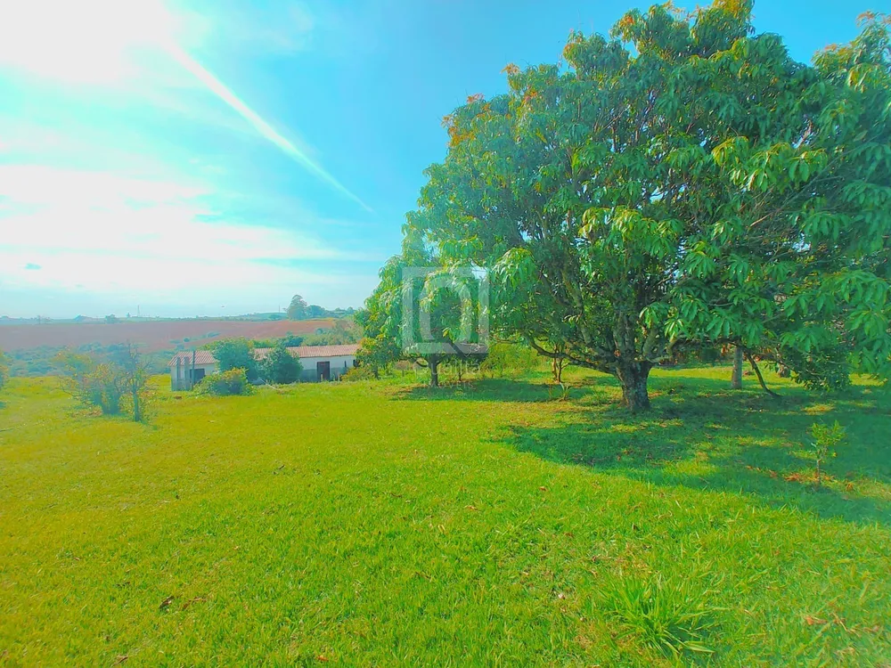 Sítio, 4 quartos, 2 hectares - Foto 10