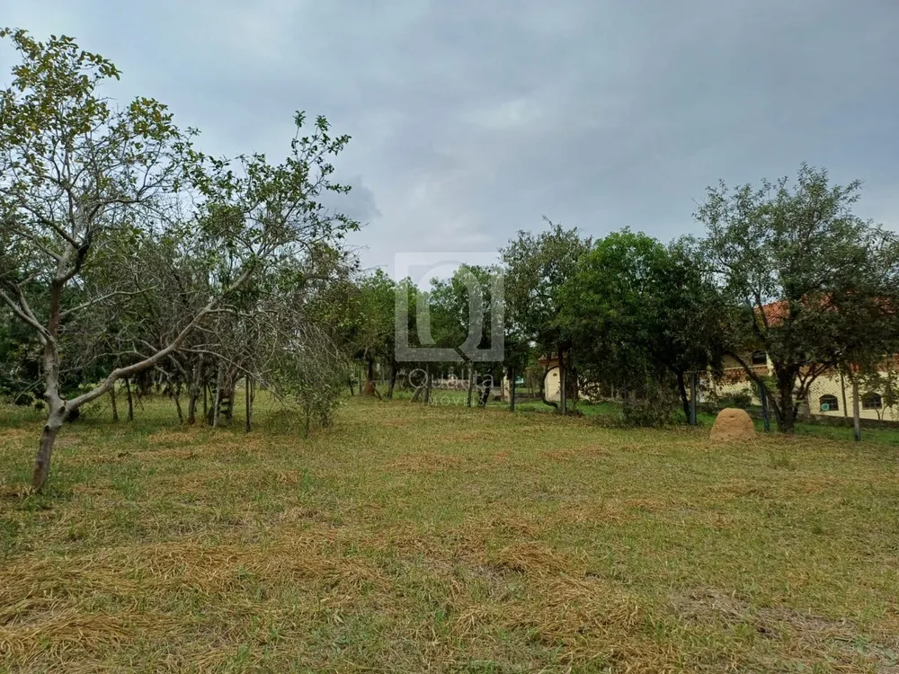 Chácara, 2 quartos, 5000 m² - Foto 7