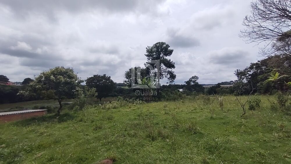 Sítio, 4 quartos, 3 hectares - Foto 15