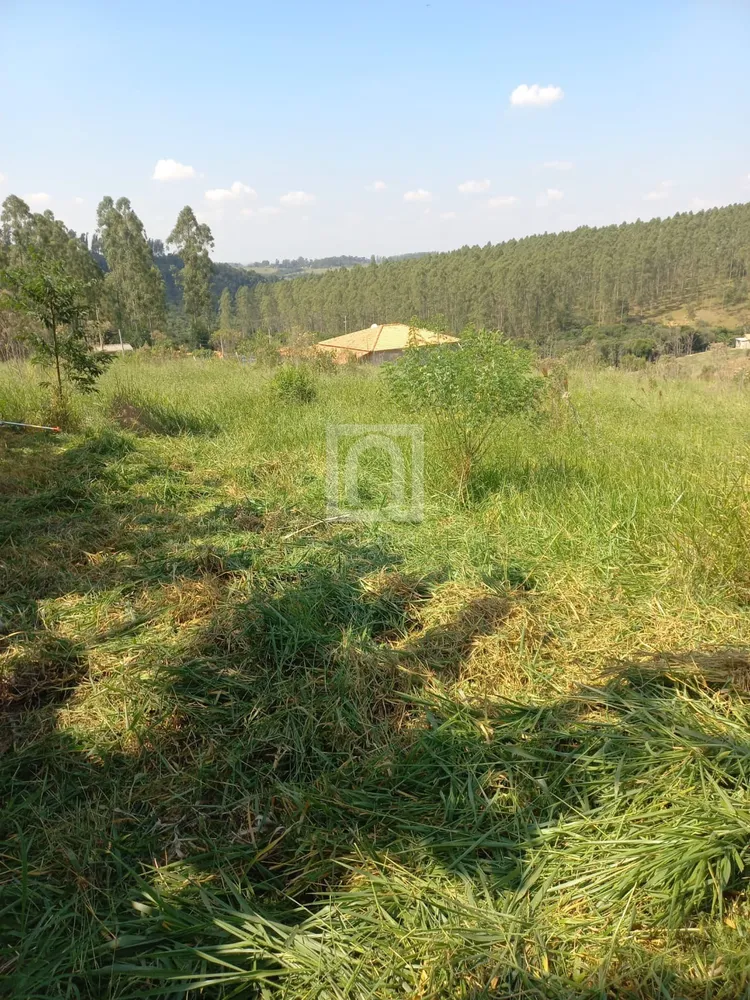 Terreno, 1000 m² - Foto 4
