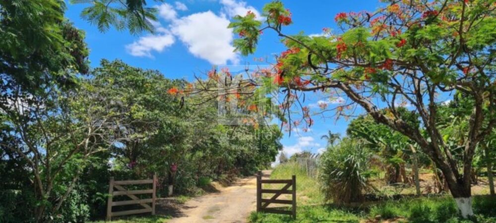 Sítio, 6 quartos, 3 hectares - Foto 8