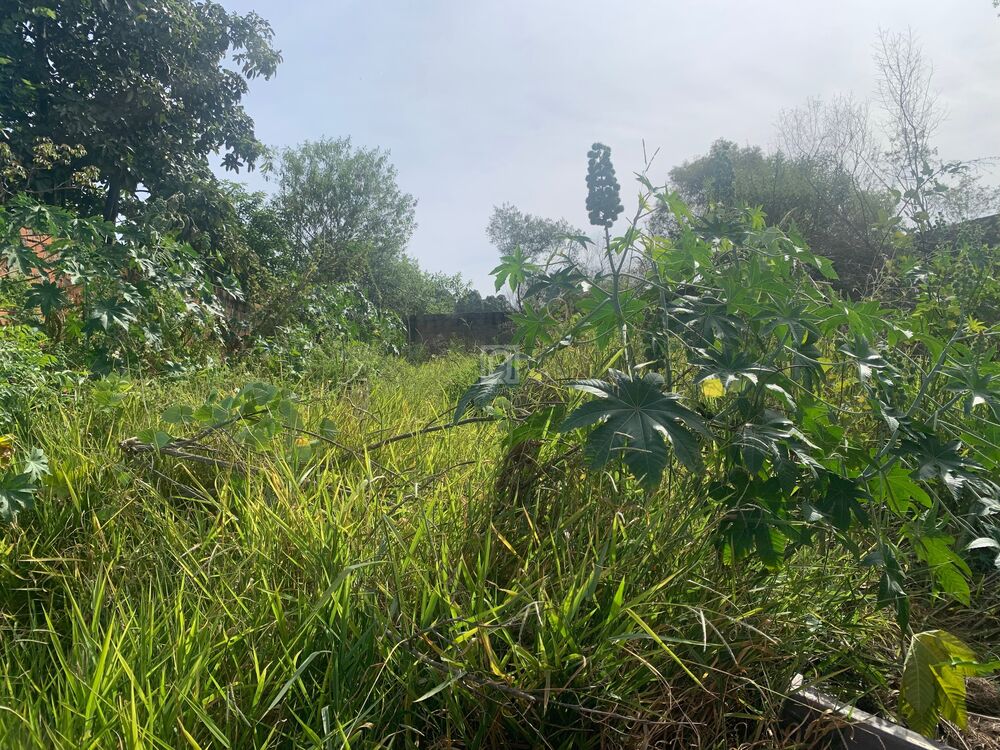 Terreno, 270 m² - Foto 4