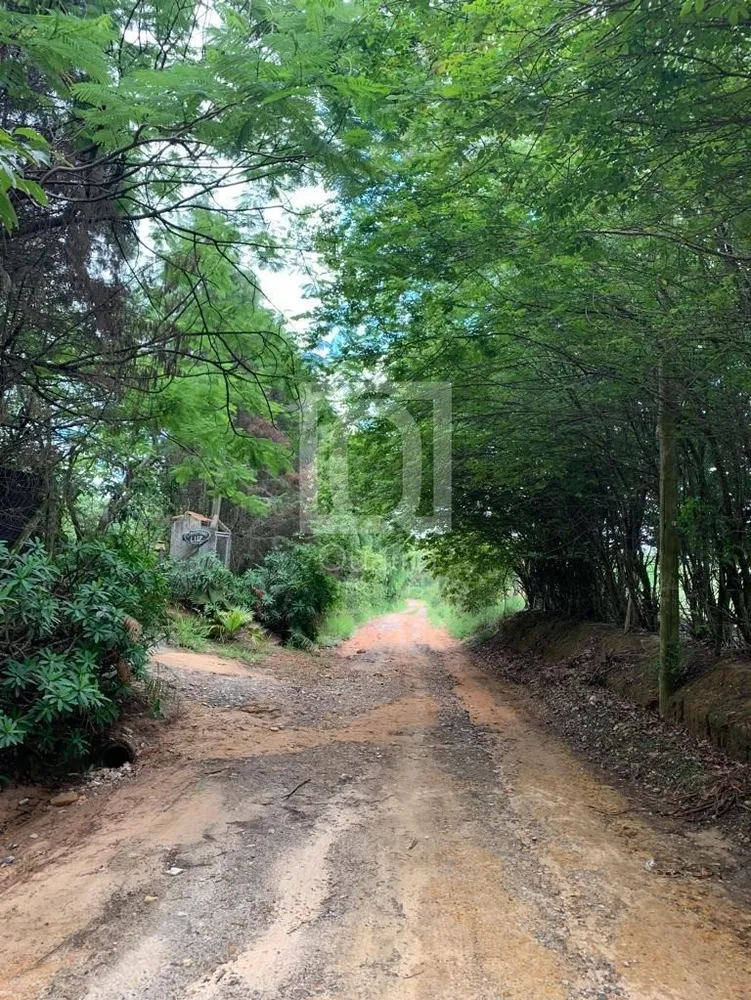 Terreno, 24200 m² - Foto 6