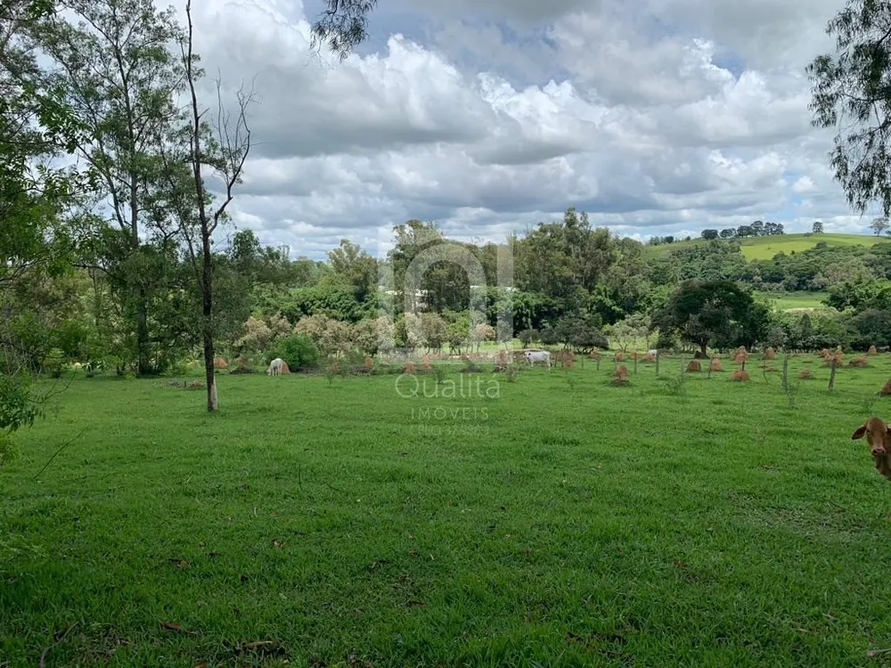 Terreno, 24200 m² - Foto 1