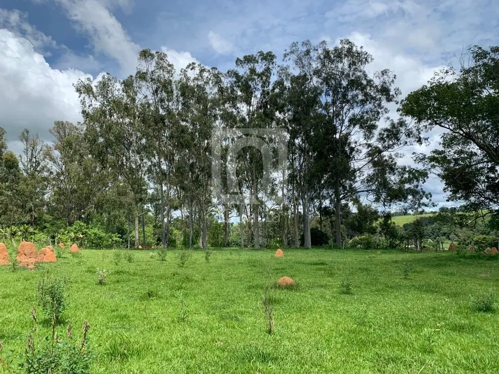 Terreno, 24200 m² - Foto 2