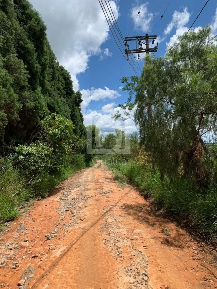 Terreno, 24200 m² - Foto 7