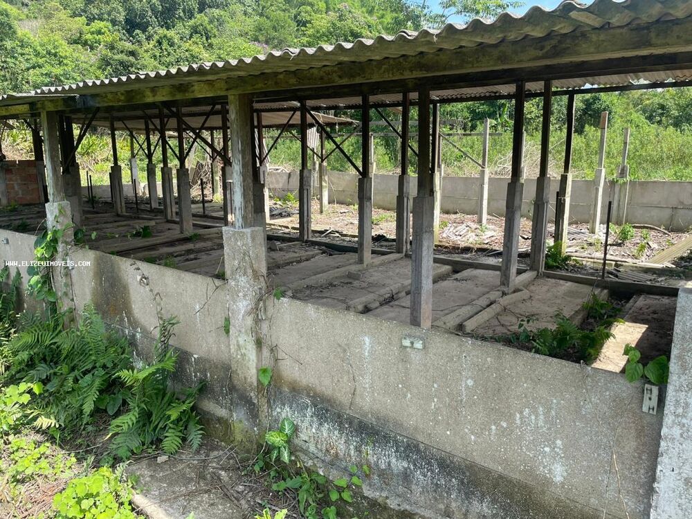 Sítio, 4 quartos, 4500 m² - Foto 3