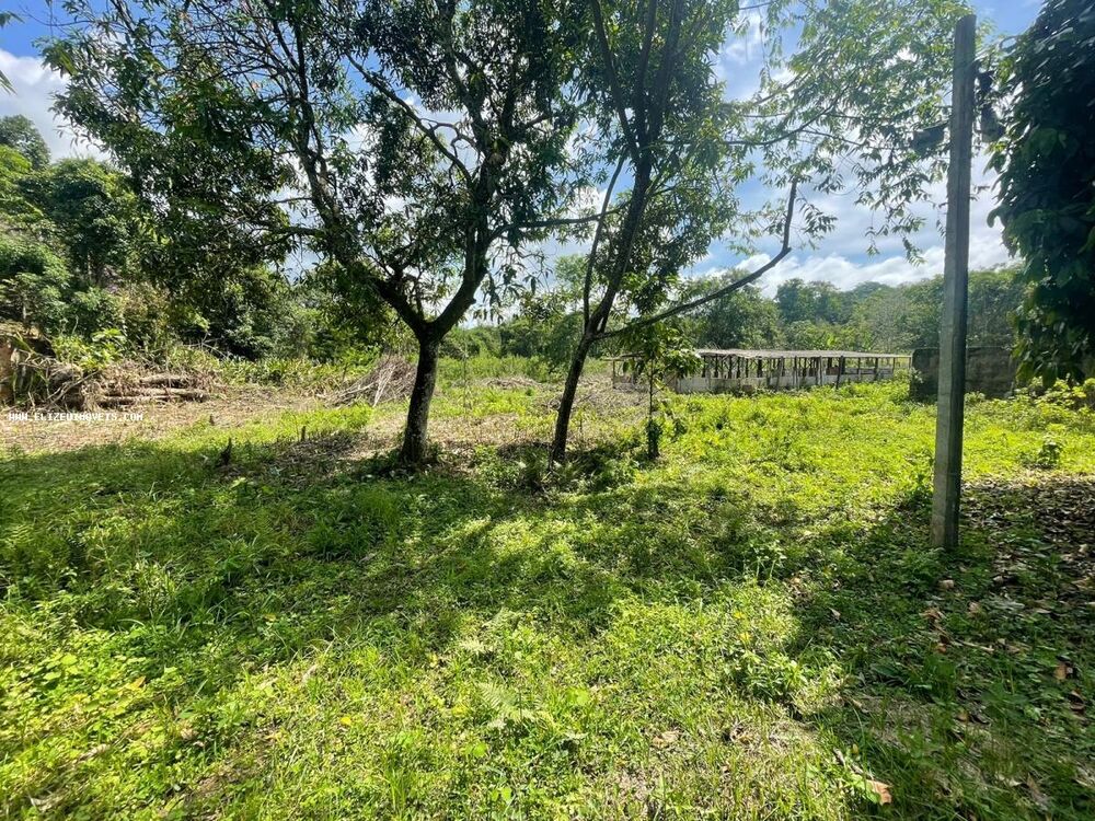 Sítio, 4 quartos, 4500 m² - Foto 1