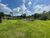 Sítio, 4 quartos, 4500 m² - Foto 2