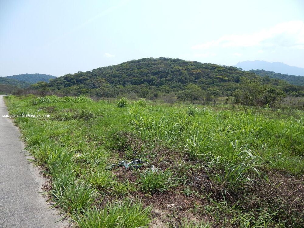 Terreno, 15 hectares - Foto 4