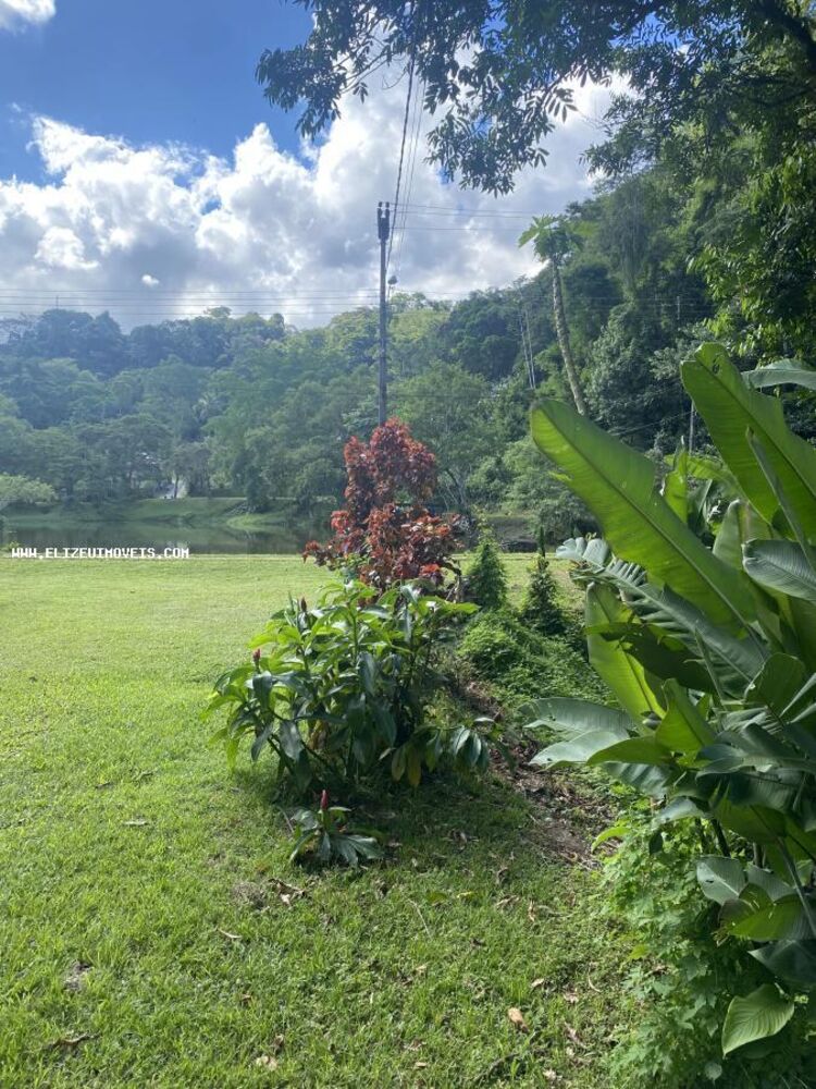 Terreno, 5442 m² - Foto 6