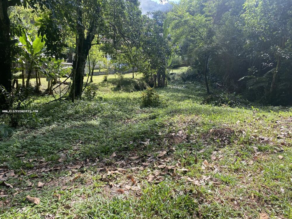 Terreno, 5442 m² - Foto 4