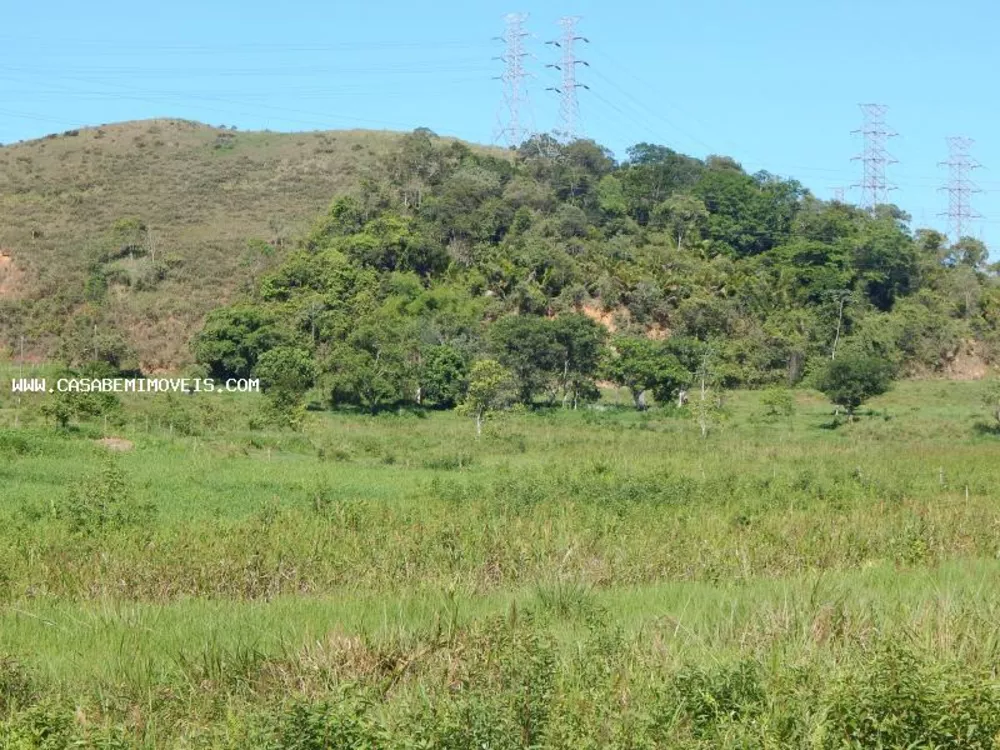 Terreno à venda, 100000m² - Foto 2