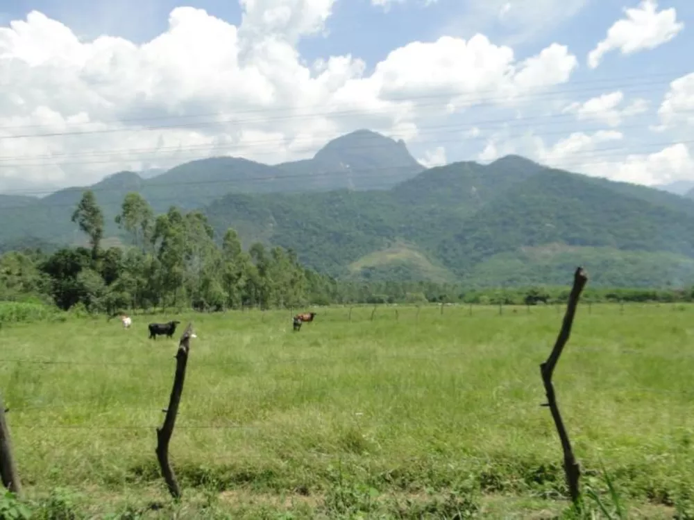 Chácara à venda com 2 quartos, 190000m² - Foto 3