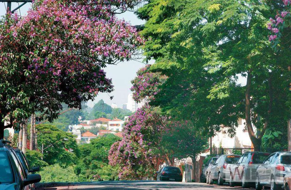 Apartamento, 2 quartos, 47 m² - Foto 17