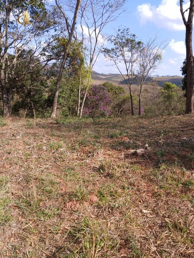 Terreno, 4000 m² - Foto 3