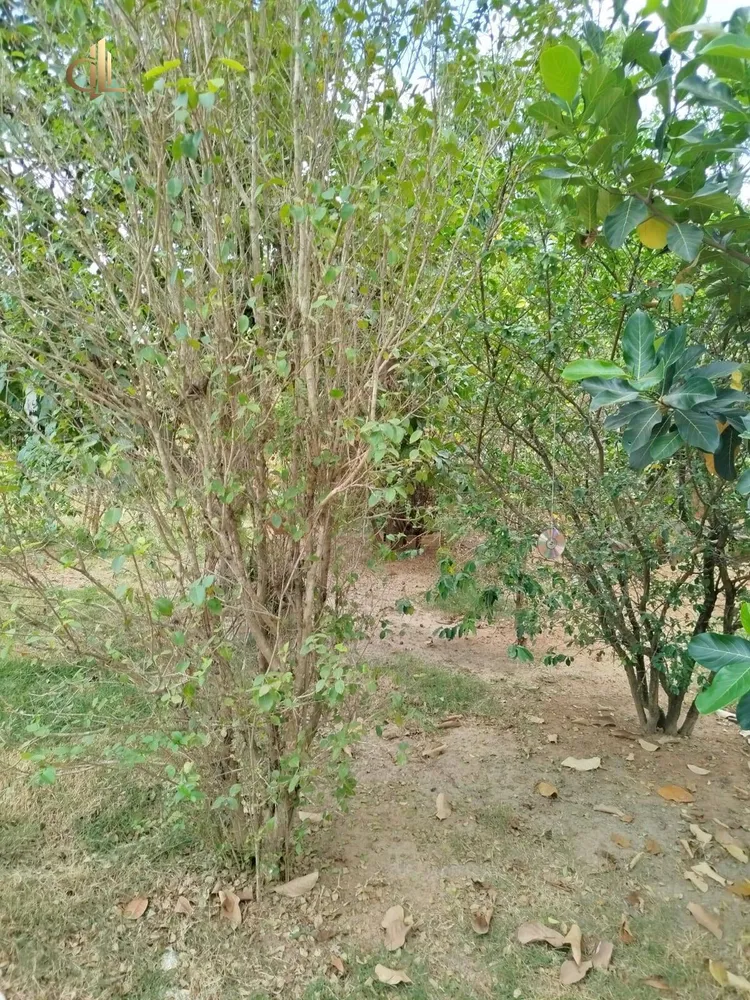 Terreno, 1000 m² - Foto 1
