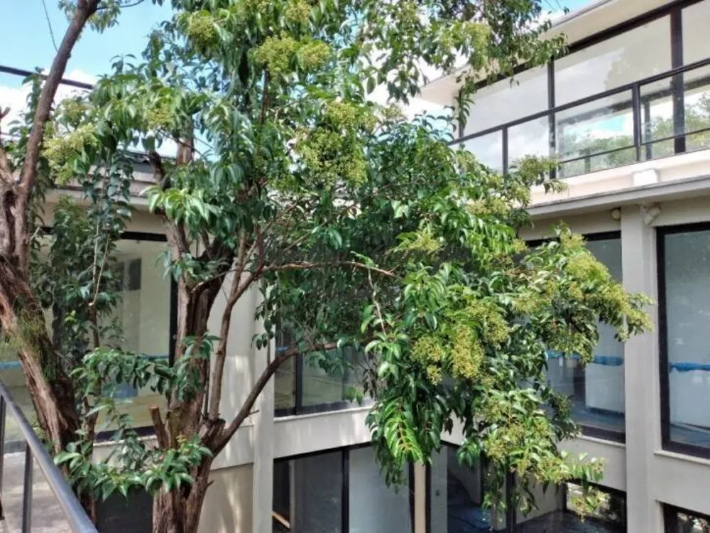 Sobrado, 5 quartos, 620 m² - Foto 16