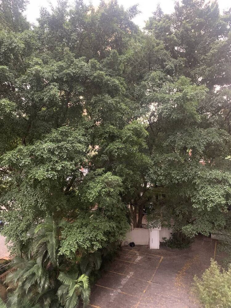 Apartamento, 1 quarto, 45 m² - Foto 4