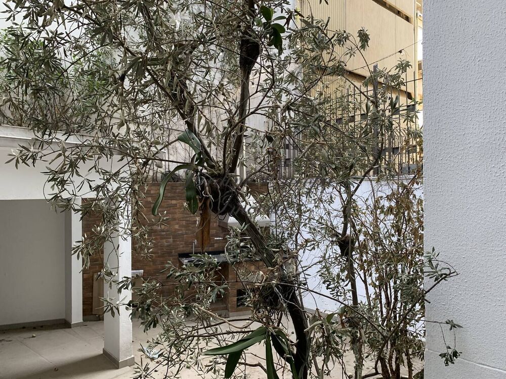 Apartamento, 2 quartos, 146 m² - Foto 6