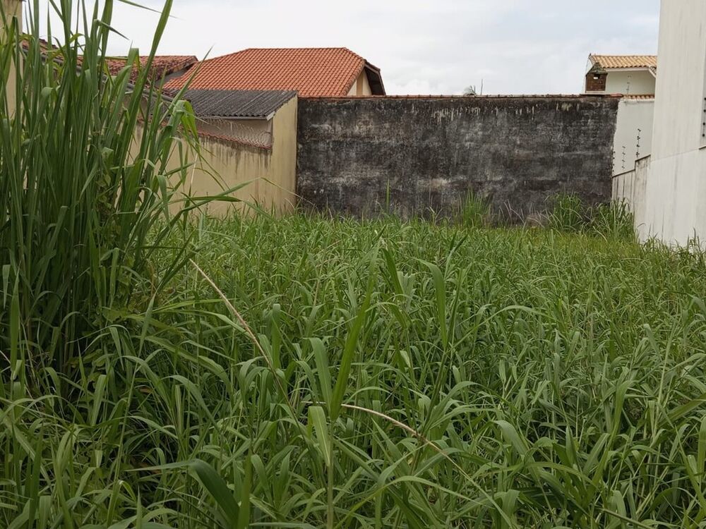 Terreno, 250 m² - Foto 1