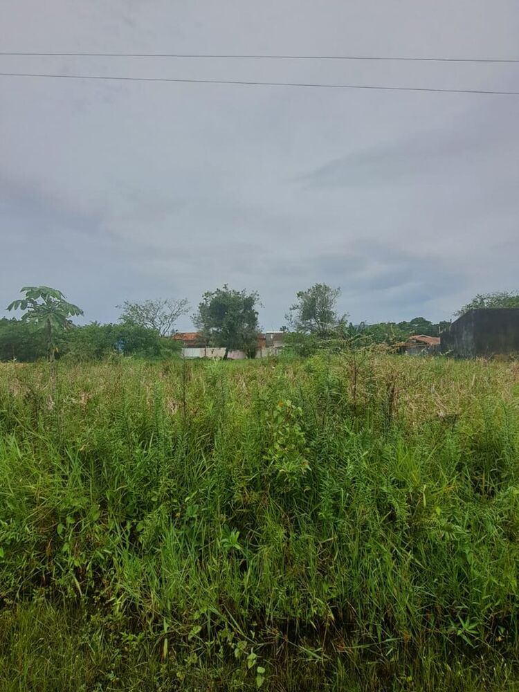 Terreno, 250 m² - Foto 1