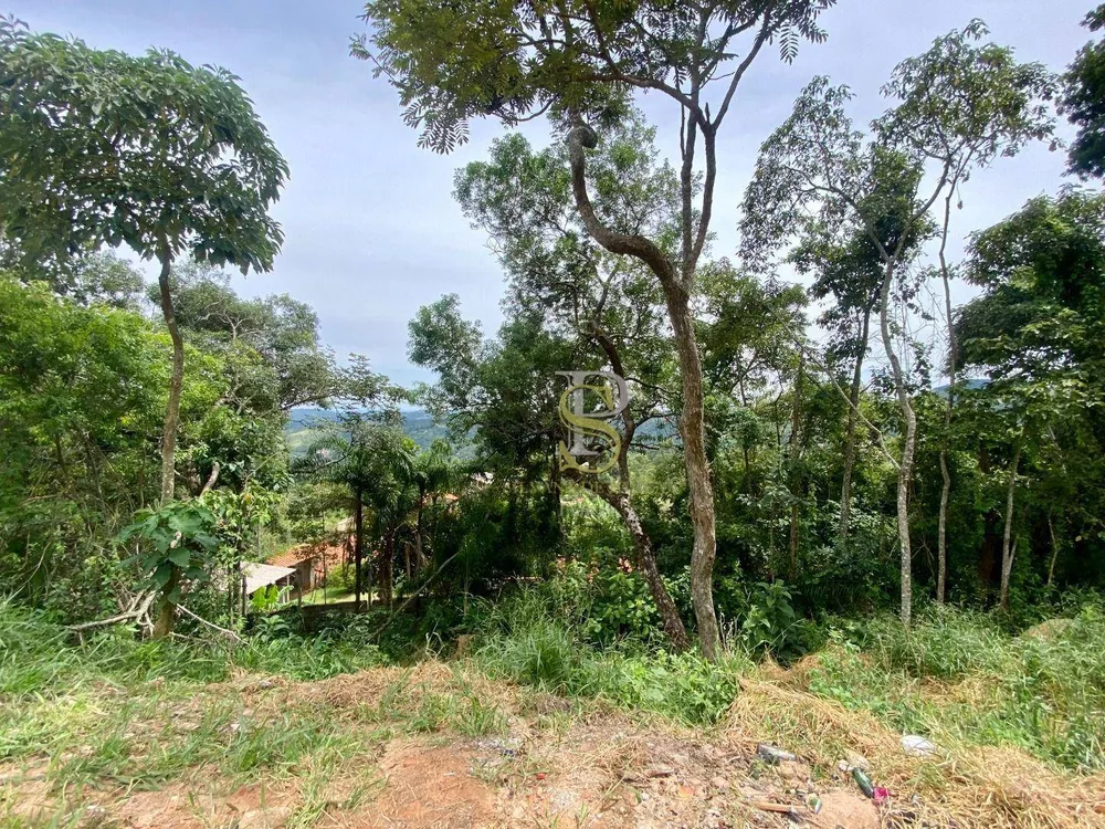 Chácara, 2 quartos, 1374 m² - Foto 2