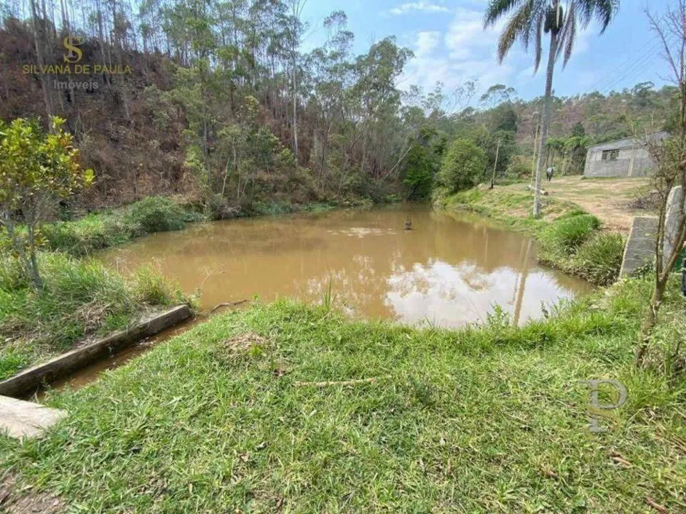Sítio, 8 quartos, 4 hectares - Foto 2