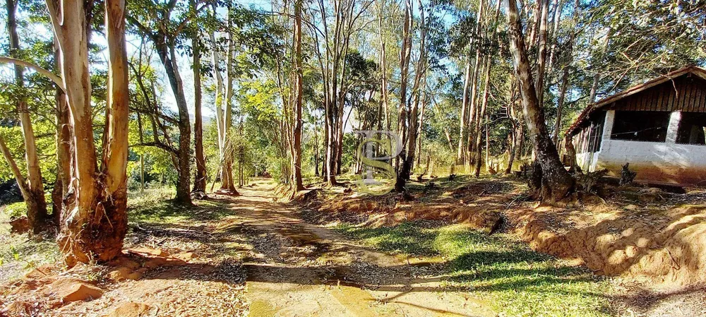 Sítio, 4 quartos, 10 hectares - Foto 15