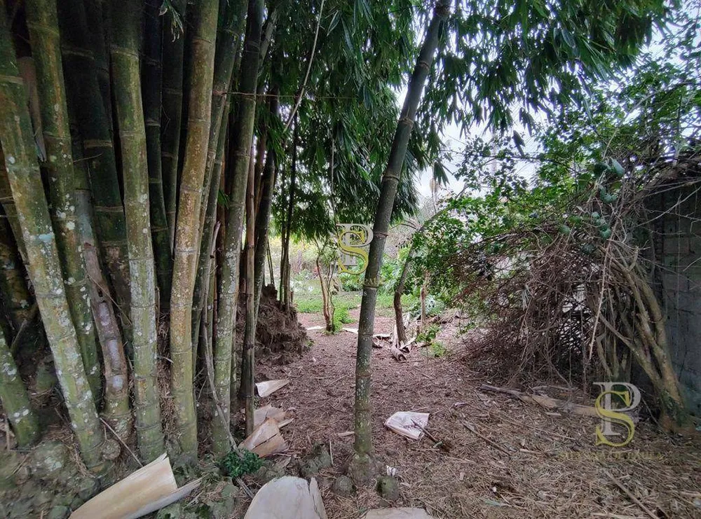 Terreno, 5634 m² - Foto 10