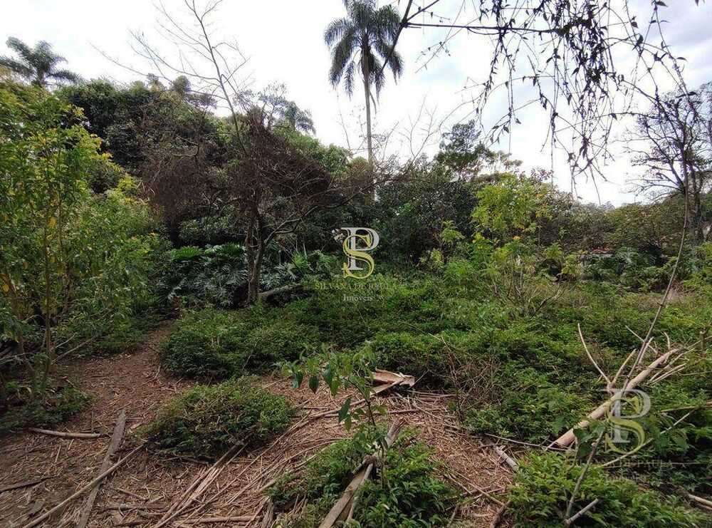 Terreno, 5634 m² - Foto 5