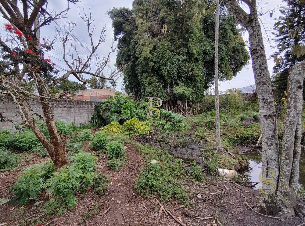 Terreno, 5634 m² - Foto 8