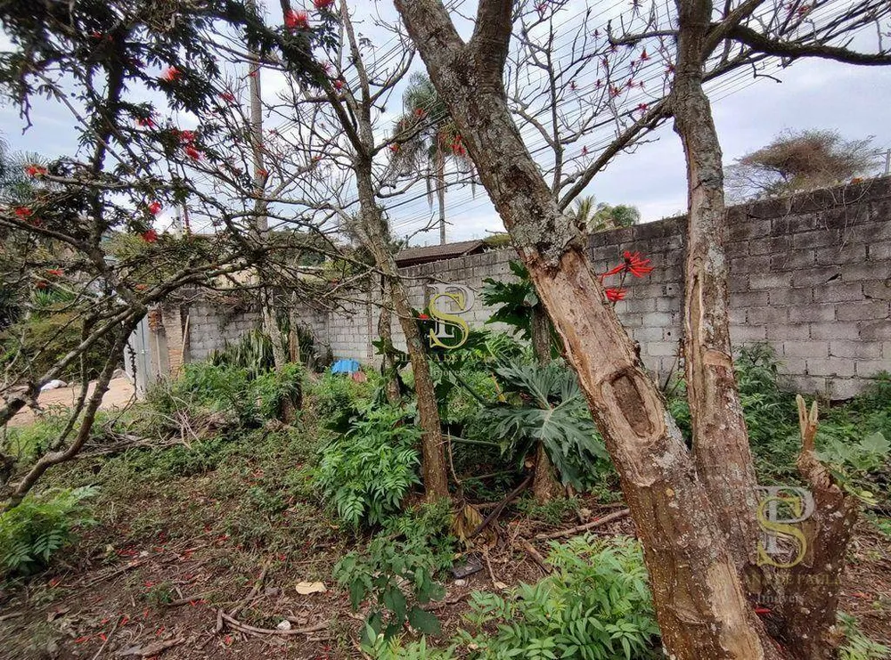 Terreno, 5634 m² - Foto 12
