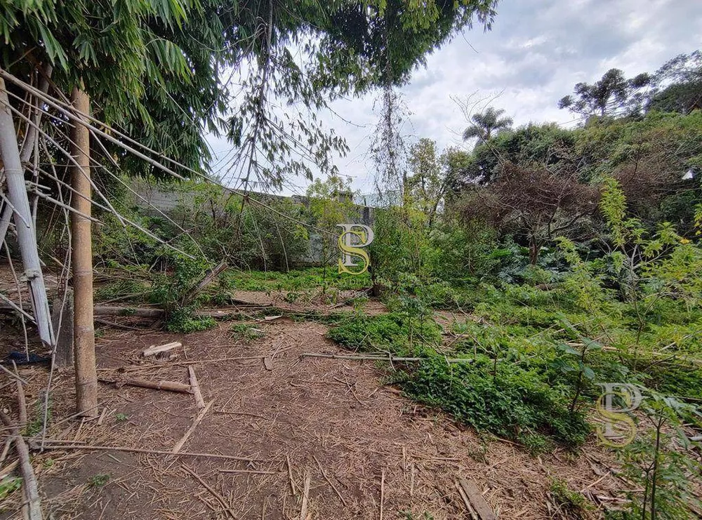 Terreno, 5634 m² - Foto 3