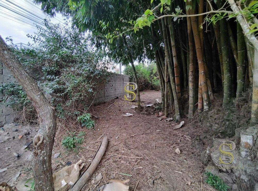 Terreno, 5634 m² - Foto 7