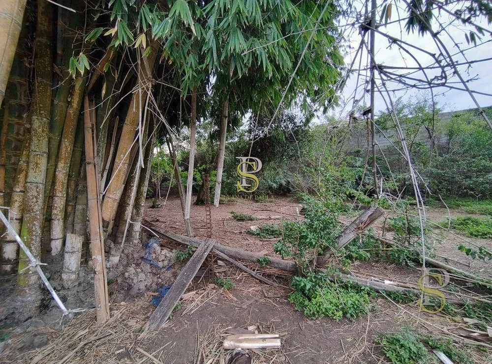 Terreno, 5634 m² - Foto 4