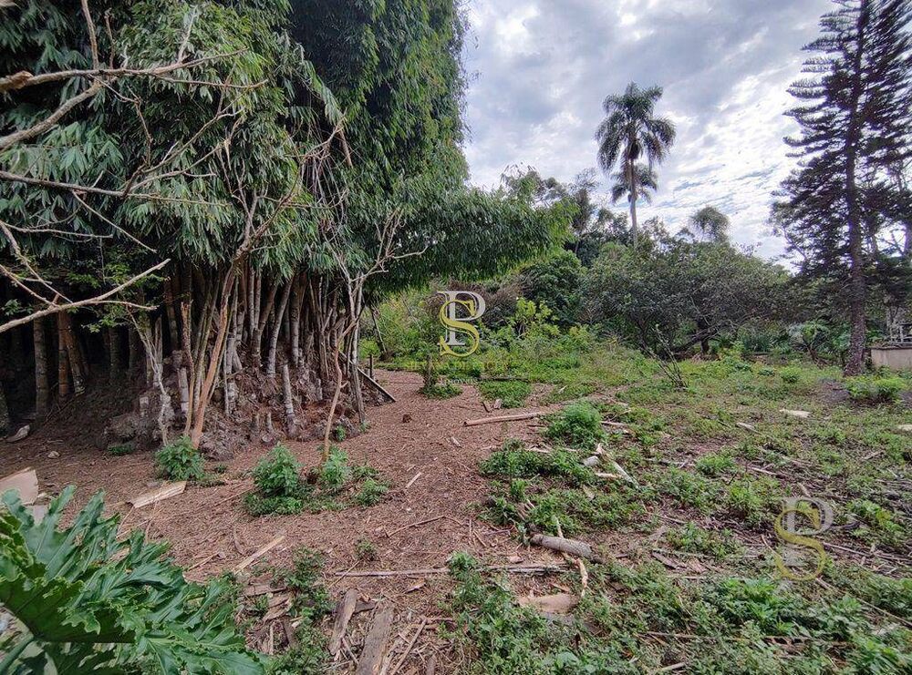 Terreno, 5634 m² - Foto 2