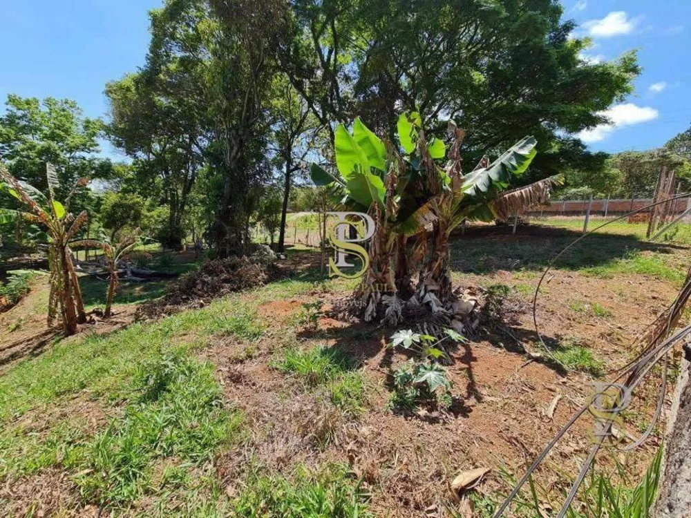 Terreno, 1000 m² - Foto 3