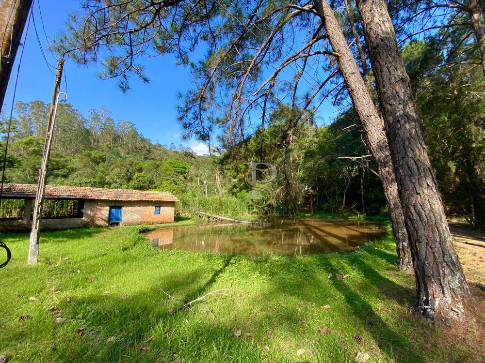 Sítio, 4 quartos, 7 hectares - Foto 16