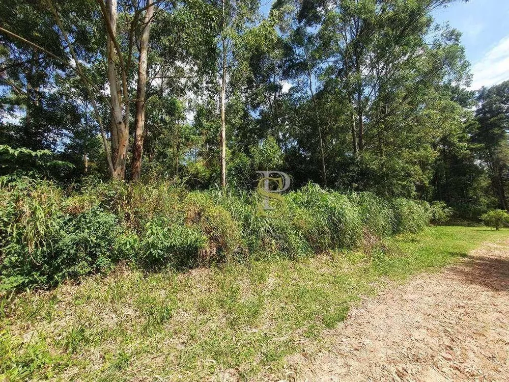 Terreno, 1200 m² - Foto 6