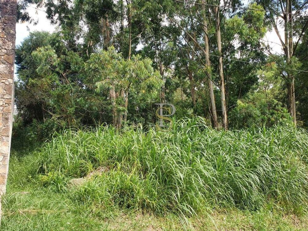 Terreno, 1200 m² - Foto 7