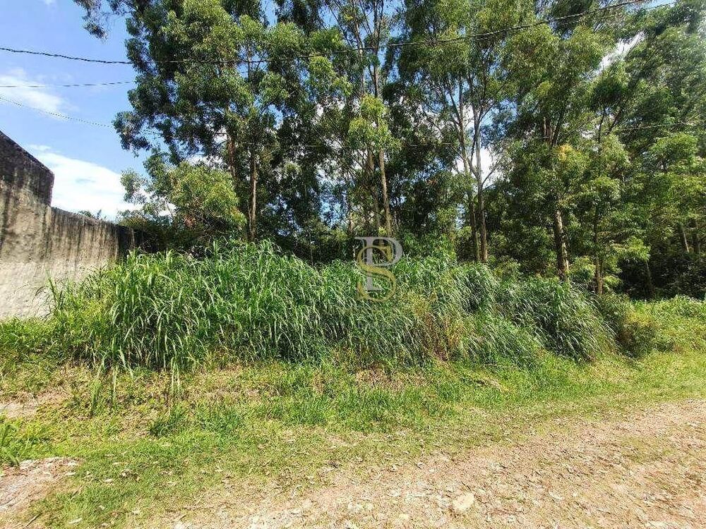 Terreno, 1200 m² - Foto 1