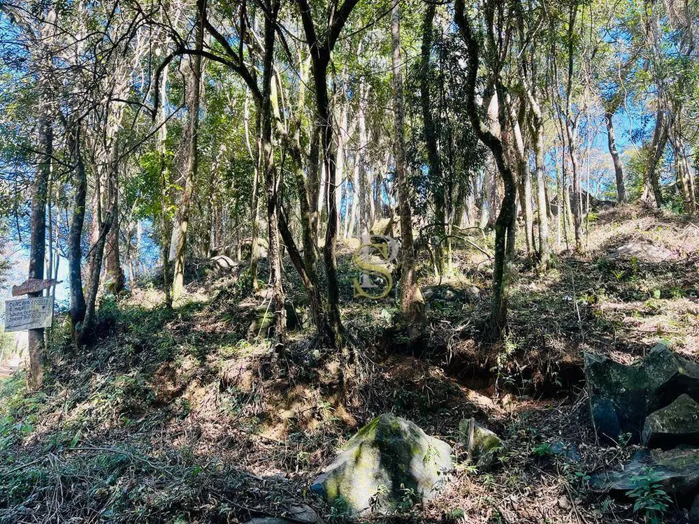 Terreno, 1085 m² - Foto 4