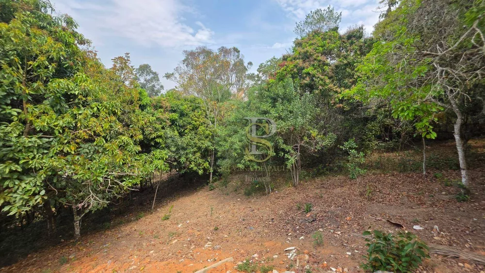 Chácara, 2 quartos, 1608 m² - Foto 4