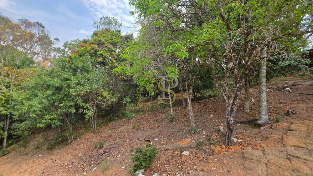 Chácara, 2 quartos, 1608 m² - Foto 1