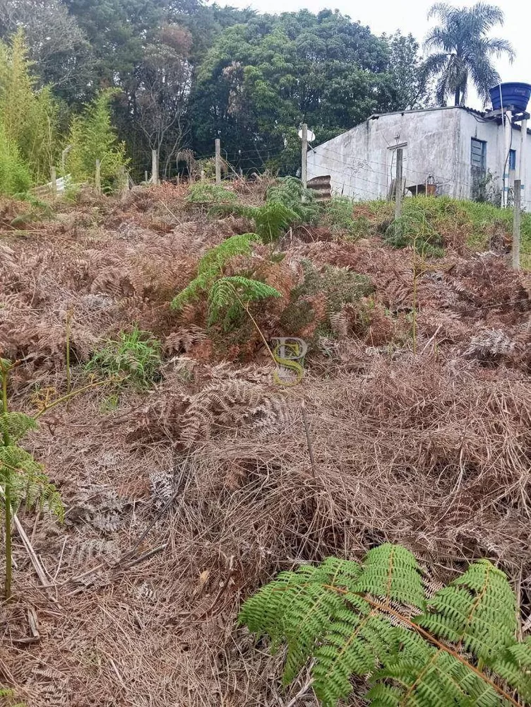 Terreno à venda, 300M2 - Foto 2