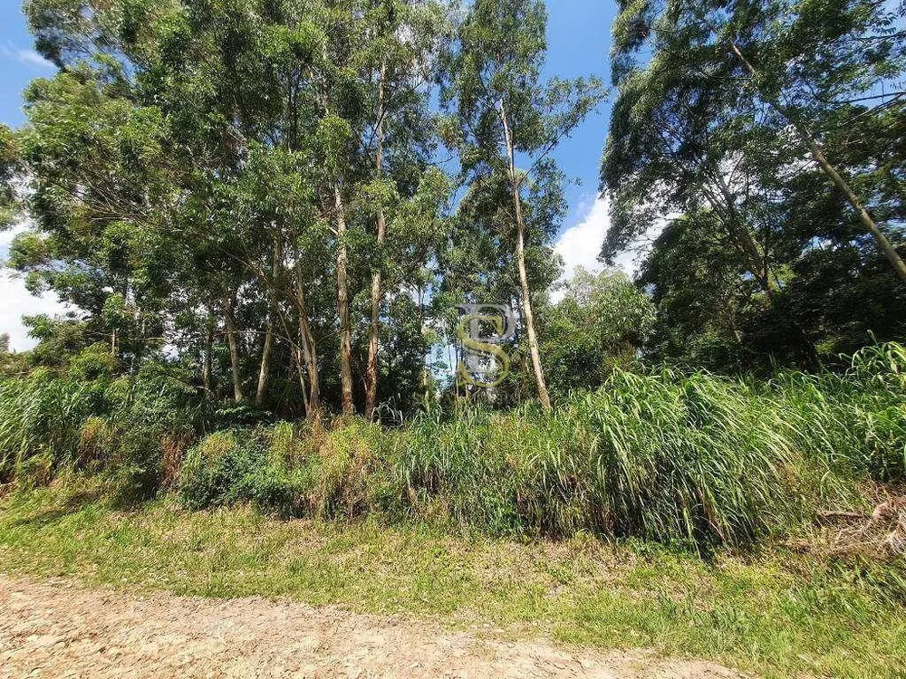 Terreno, 1000 m² - Foto 2