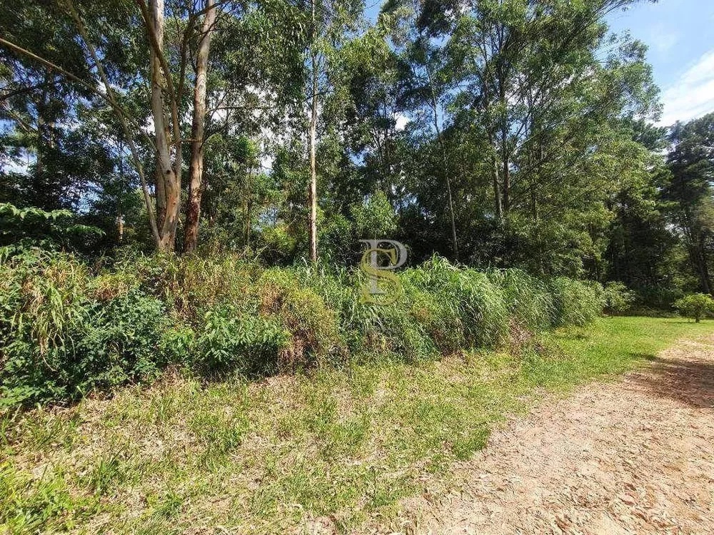 Terreno, 1000 m² - Foto 2